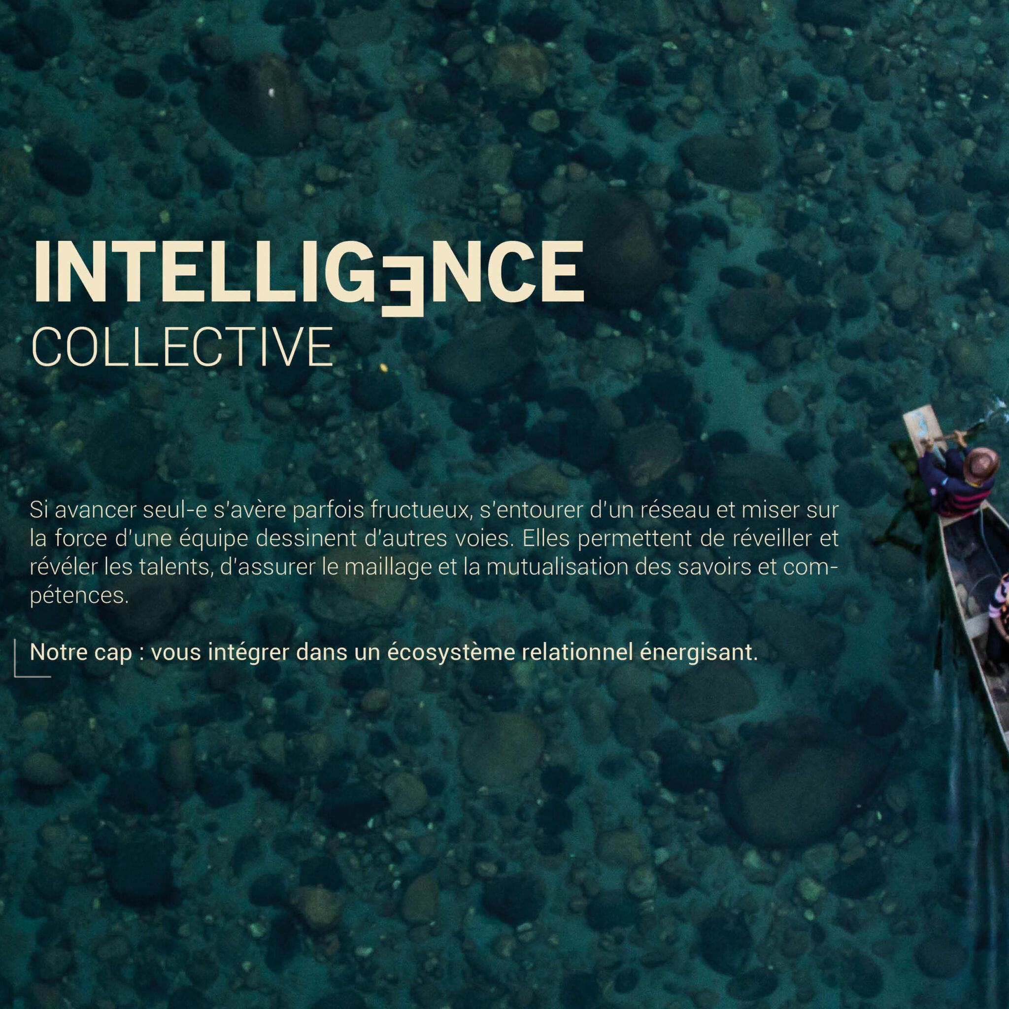 Page 5 Valeurs - Intelligence collective